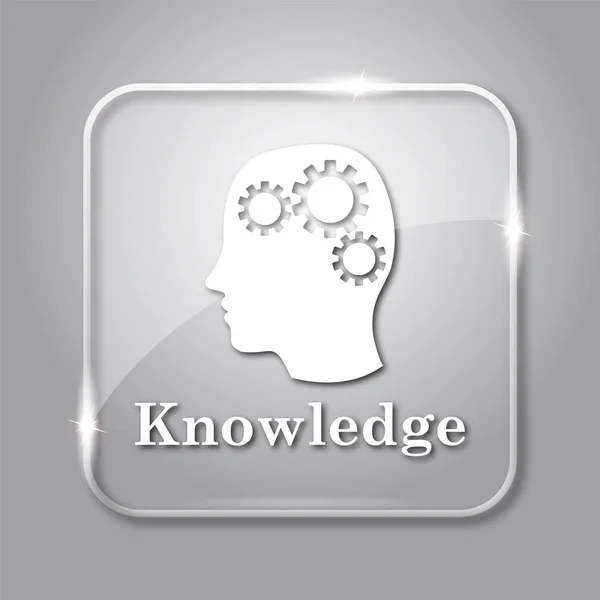 Knowledge icon. Transparent internet button on grey background