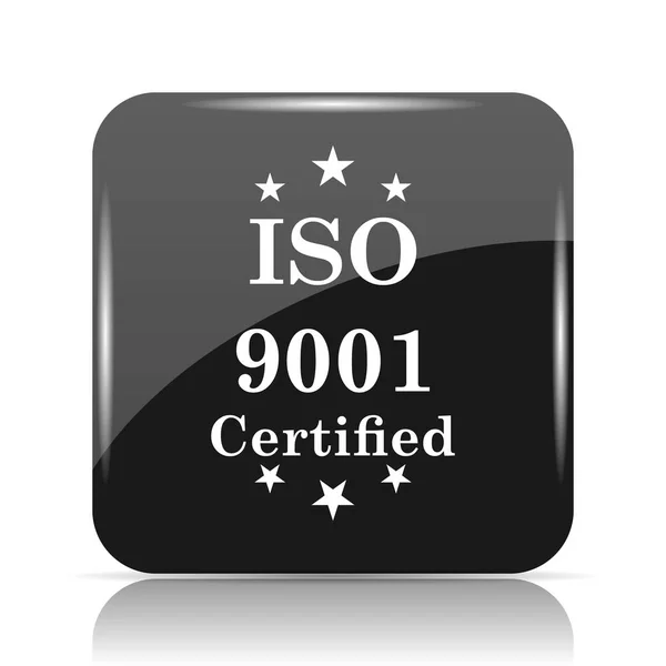 Ícone Iso9001 Botão Internet Fundo Branco — Fotografia de Stock