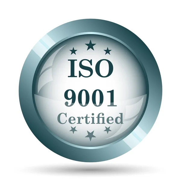 Iso9001 Pictogram Internet Knop Witte Achtergrond — Stockfoto