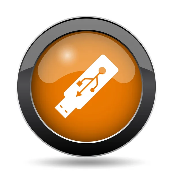 Usb フラッシュ ドライブのアイコン Usb フラッシュ ドライブのウェブサイトのボタン ホワイト バック グラウンド — ストック写真