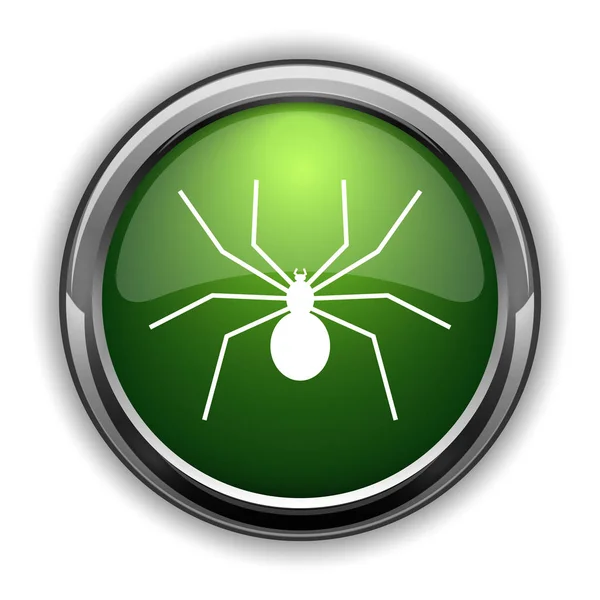 Icona Del Ragno Pulsante Del Sito Web Spider Sfondo Bianco — Foto Stock