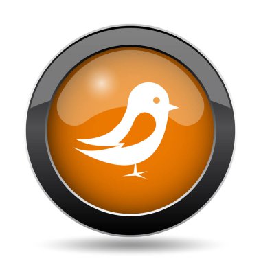 Kuş simgesi. Beyaz arka plan üzerinde kuş web sitesi düğmesini