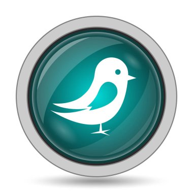 Kuş simgesi, beyaz arka plan üzerinde Web sitesi düğmesini