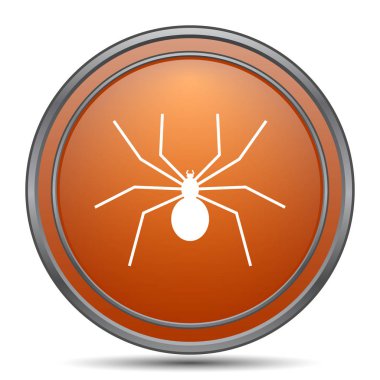 Örümcek simgesi. Beyaz arka plan turuncu internet düğme