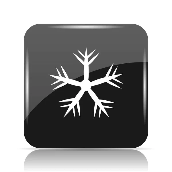 Ikona Śnieżynki Przycisk Internet Białym Tle — Zdjęcie stockowe