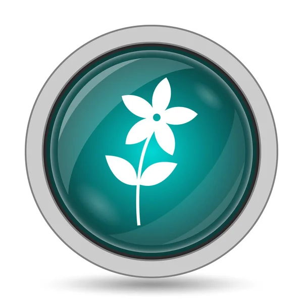 Flower Icon Website Button White Background — Stock Photo, Image