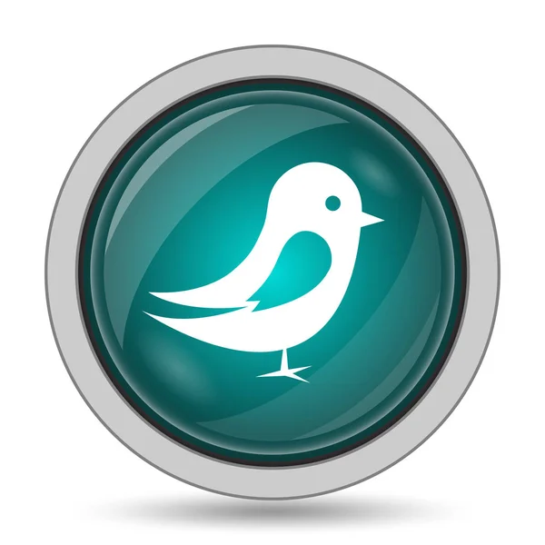Icono Pájaro Botón Del Sitio Web Sobre Fondo Blanco —  Fotos de Stock