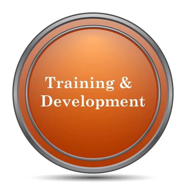 Training Development Icon Orange Internet Button White Background — Stock Photo, Image