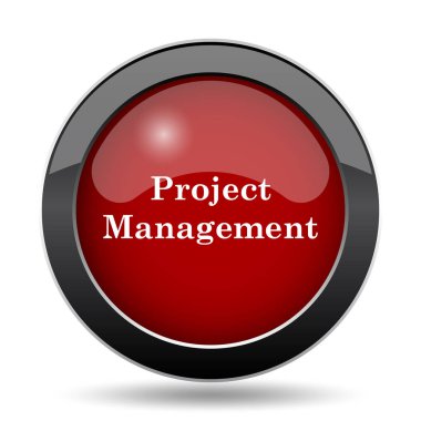Proje Yönetimi simgesi. Beyaz arka plan üzerinde Internet düğmesi