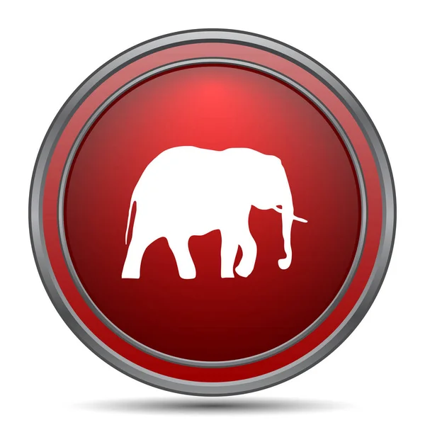 Icona elefante — Foto Stock