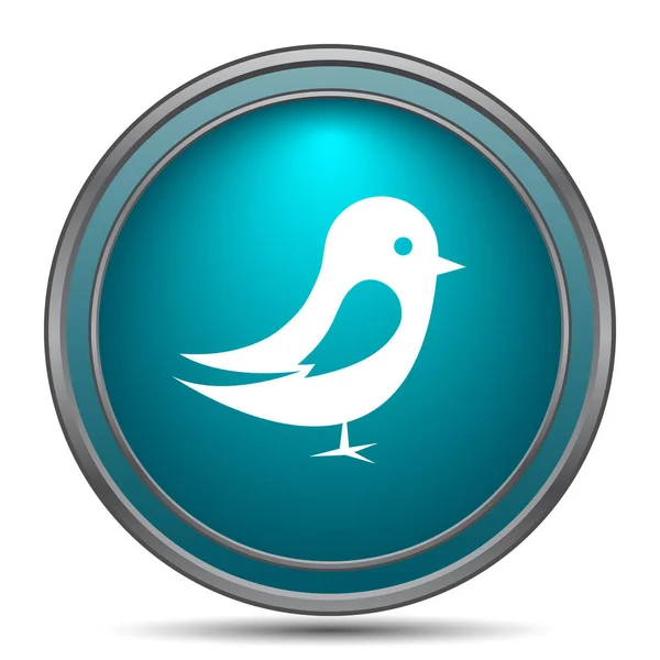 Bird Icon Internet Button White Background — Stock Photo, Image