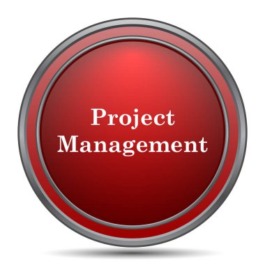 Proje Yönetimi simgesi. Beyaz arka plan üzerinde Internet düğmesi