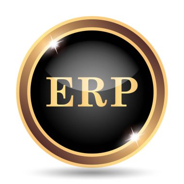 ERP simgesi