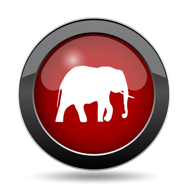 Icoana Elefantului Buton Internet Fundal Alb — Fotografie, imagine de stoc