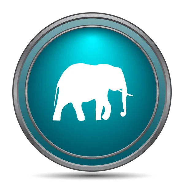 Elephant Icon Internet Button White Background — Stock Photo, Image