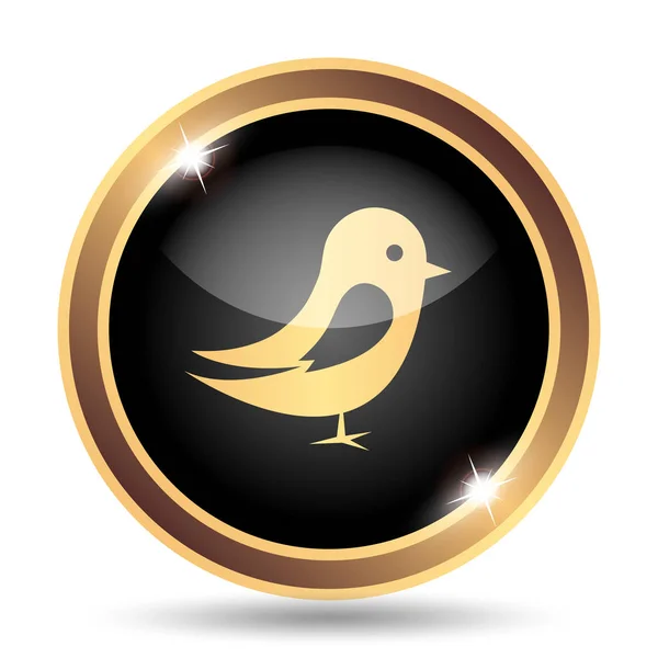 Bird Icon Internet Button White Background — Stock Photo, Image