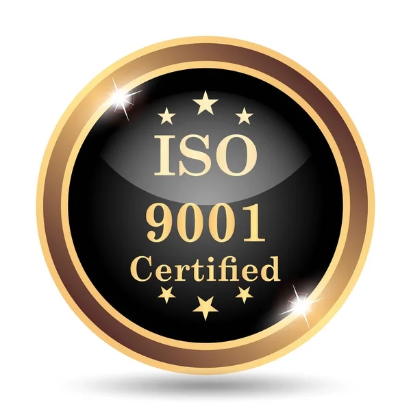 ISO9001-ikonen — Stockfoto