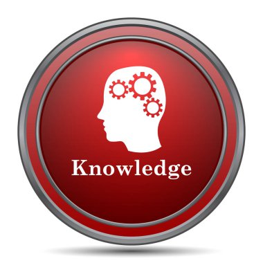 Bilgi simgesi. Beyaz arka plan üzerinde Internet düğmesi