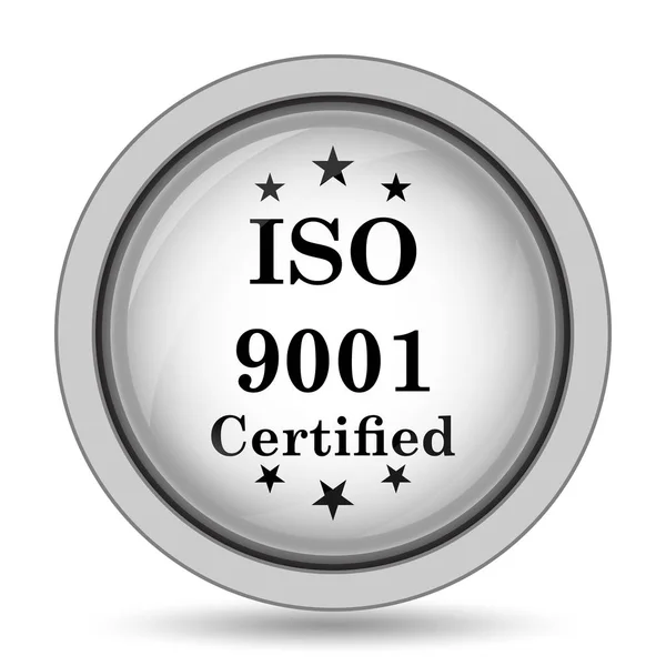 Ikona Iso9001 Internet Tlačítko Bílém Pozadí — Stock fotografie