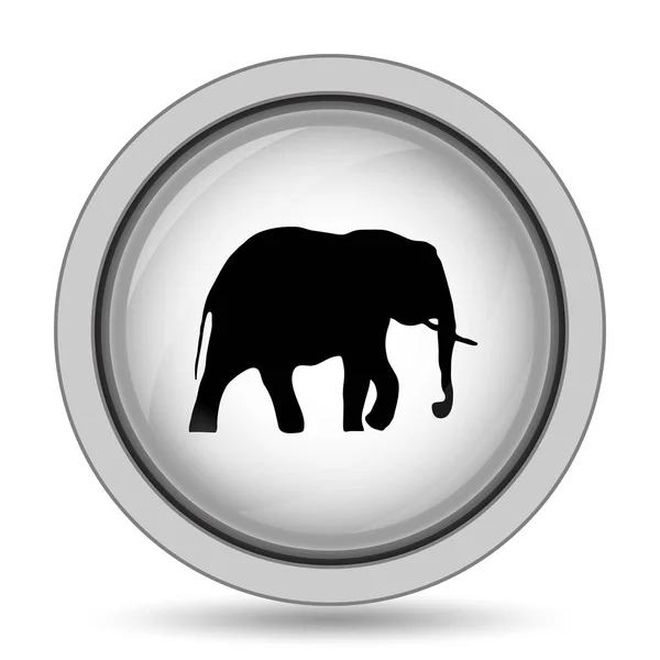 Elefánt ikon — Stock Fotó