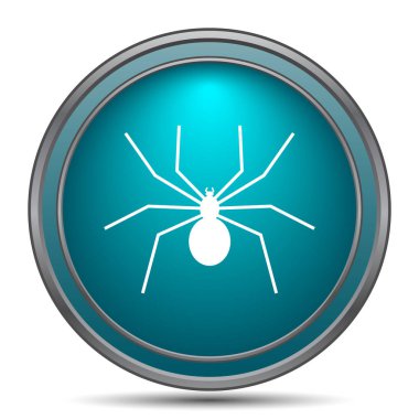 Örümcek simgesi. Beyaz arka plan üzerinde Internet düğmesi