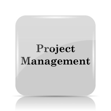 Proje Yönetimi simgesi