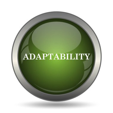 Adaptasyon simgesi. Beyaz arka plan üzerinde Internet düğmesi.