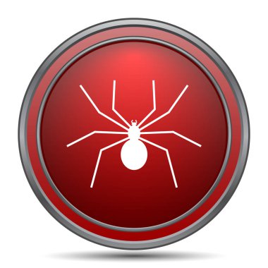 Örümcek simgesi. Beyaz arka plan üzerinde Internet düğmesi