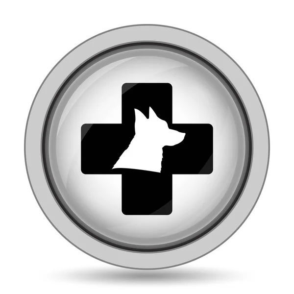 Ветеринарная Икона Кнопка Интернет Белом Фоне — стоковое фото