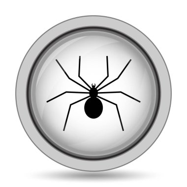 Örümcek simgesi. Beyaz arka plan üzerinde Internet düğmesi