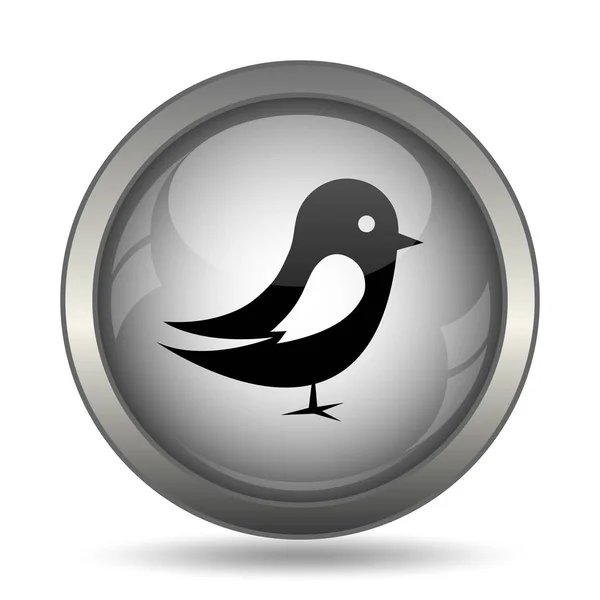 Vogel Symbol Schwarzer Website Knopf Auf Weißem Hintergrund — Stockfoto