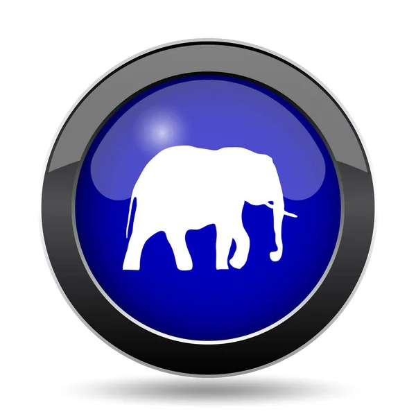Ikona słoń — Zdjęcie stockowe