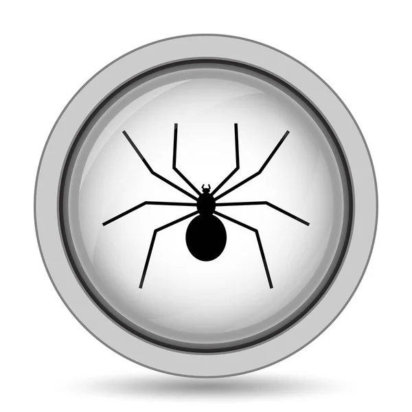蜘蛛アイコン 白い背景の上のインター ネット ボタン — ストック写真