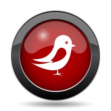 Kuş simgesi. Beyaz arka plan üzerinde Internet düğmesi