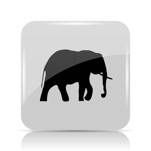 Ícone Elefante Botão Internet Fundo Branco — Fotografia de Stock