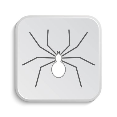 örümcek simgesi