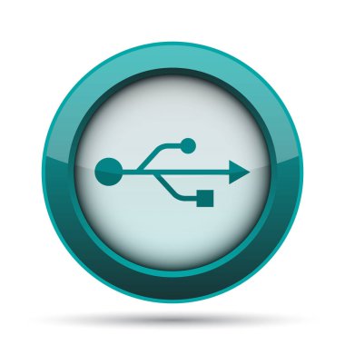 USB simge. Beyaz arka plan üzerinde Internet düğmesi