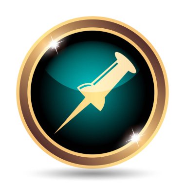 PIN simgesi. Beyaz arka plan üzerinde Internet düğmesi