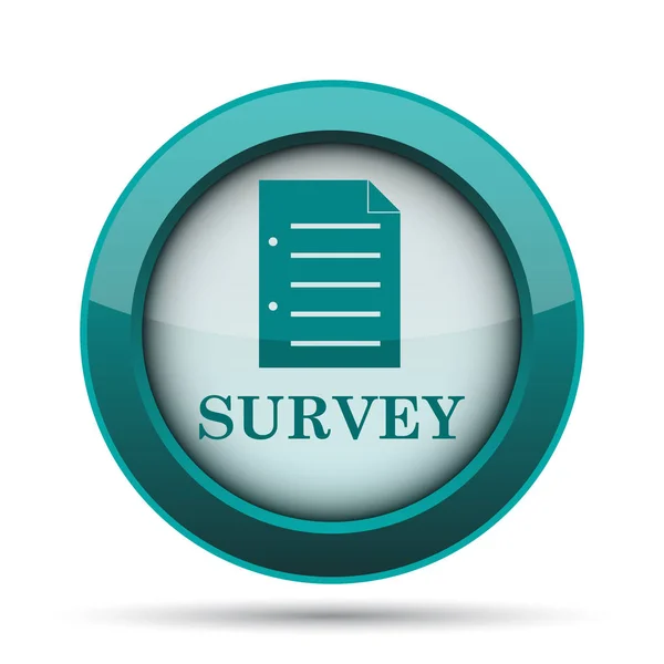 Survey icon. Internet button on white background