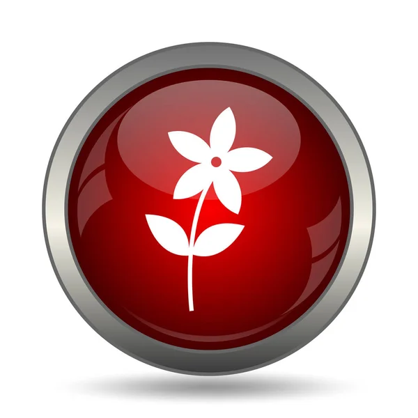 Flower  icon