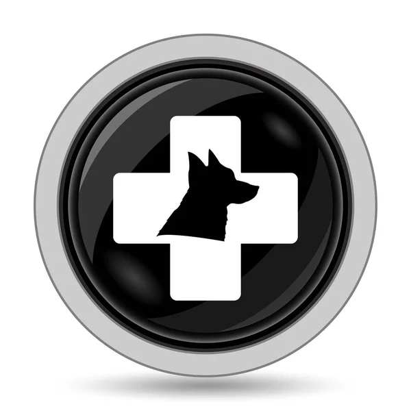 Veterinary icon — Stock Photo, Image