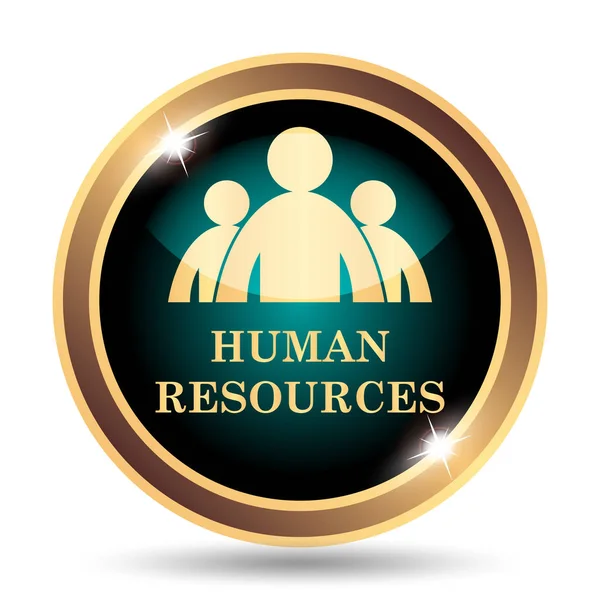 Human Resources icon. Internet button on white background
