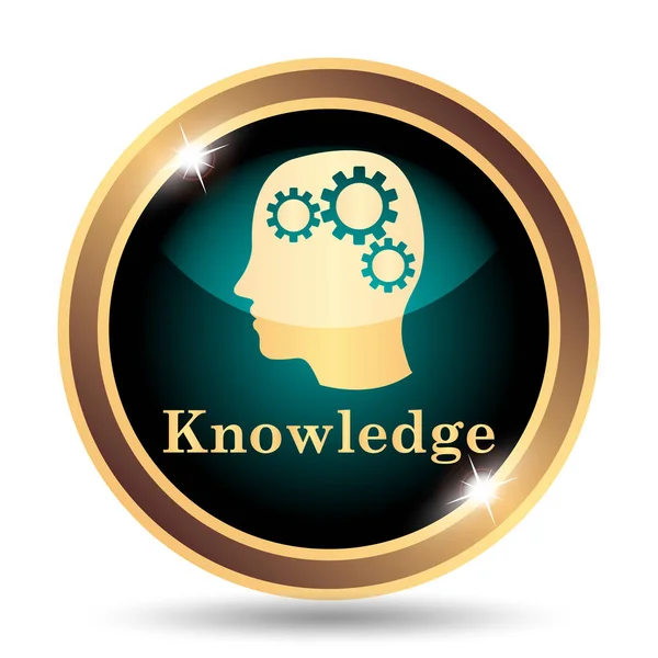 Knowledge icon. Internet button on white background