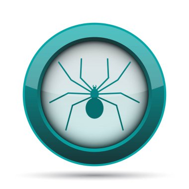 örümcek simgesi