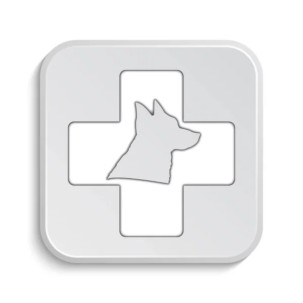 Veterinary icon — Stock Photo, Image