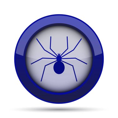örümcek simgesi