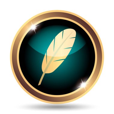 Tüy simgesi. Beyaz arka plan üzerinde Internet düğmesi