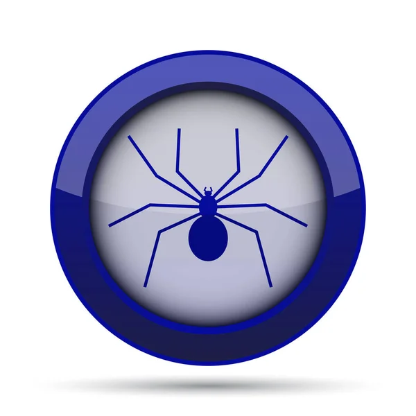 Spider icon — Stock Photo, Image
