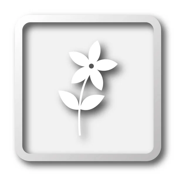 Ikona kwiatowa — Zdjęcie stockowe