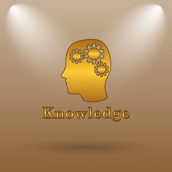 Knowledge icon. Internet button on brown background